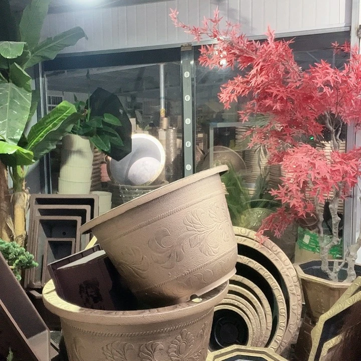 复合盆景制作方法