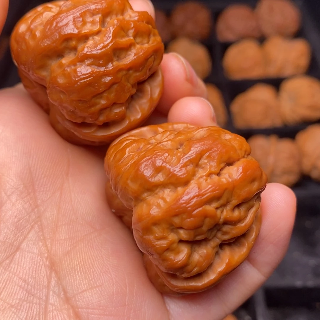 文玩核桃把件秦岭野生核桃