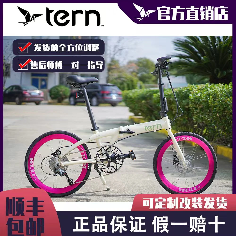 TERN 燕鸥B8 PRO折叠自行车海豚车架10速油碟折叠车 改装升级版B8