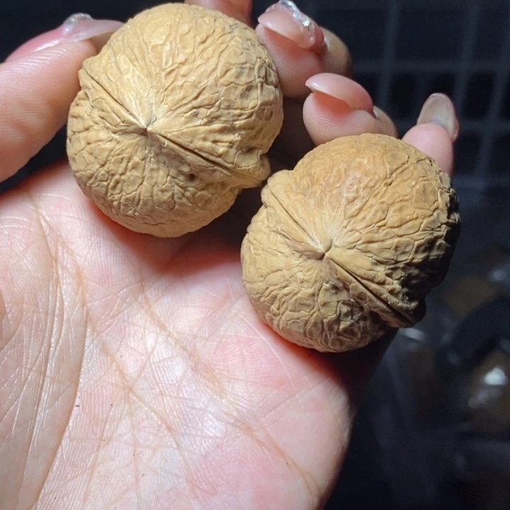核桃云南野生铁核桃32号37mm