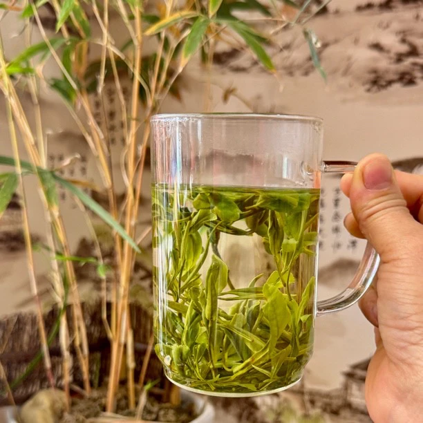 A11舒城小兰花2025新茶大别山晓天绿茶浓香耐泡鲜爽高山茶叶