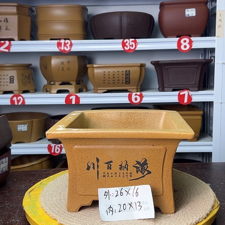 花盆紫砂你在一起