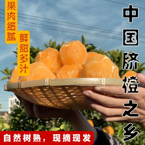 【直播专属】产地直发纽荷尔脐橙大果清甜多汁新鲜水果柑橘5/10斤