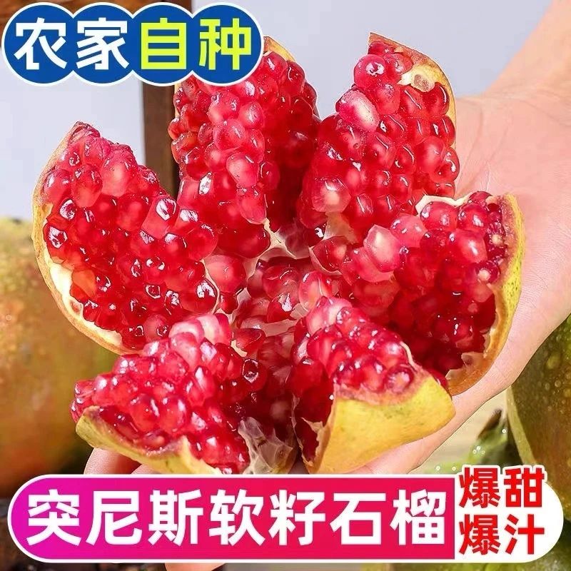 【果园现摘现发】会理突尼斯软籽石榴产地直发新鲜应季水果5-9斤DY