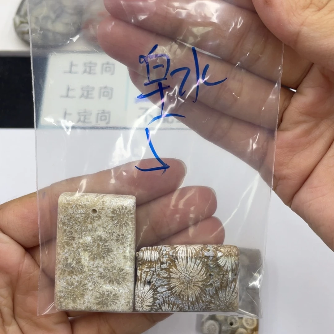 硅化珊瑚（珊瑚玉）合金颈饰皁**亓