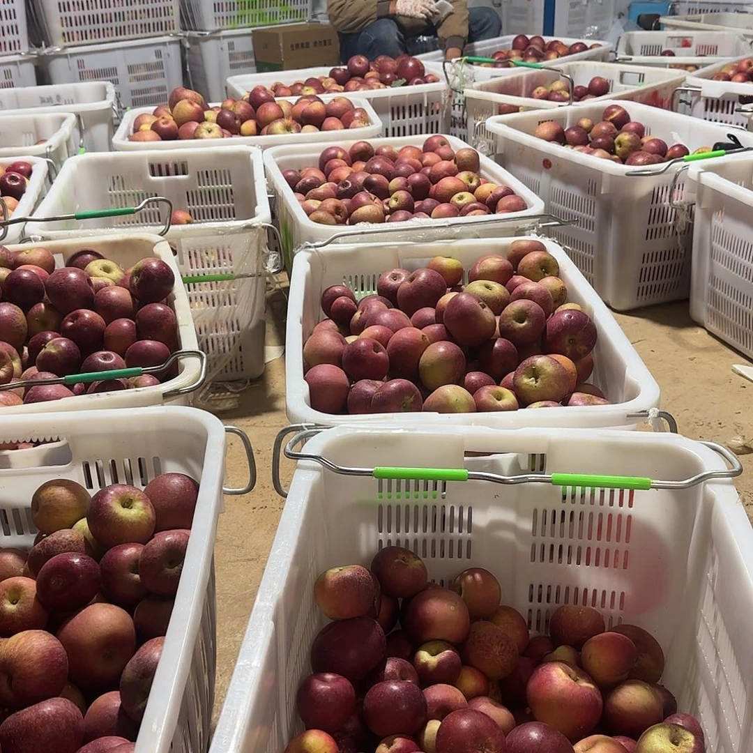 丑苹果5斤混装福利大中小