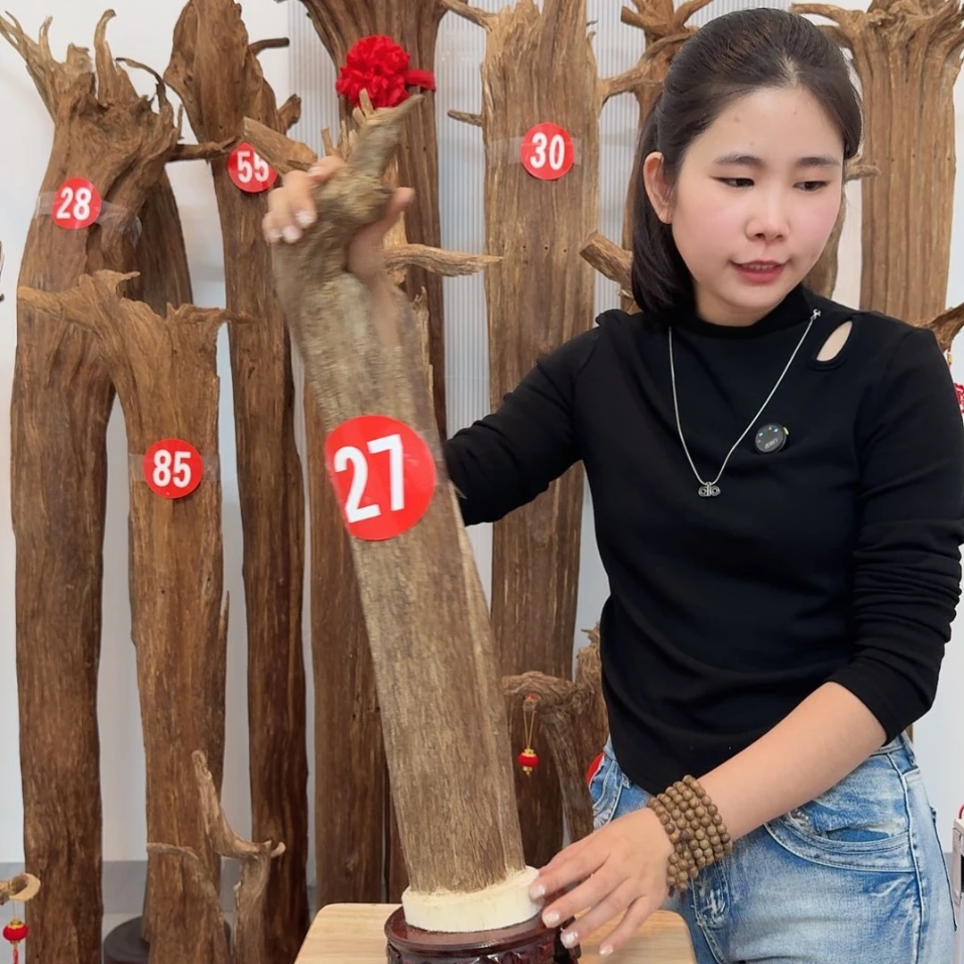 沉香沉香碎屑原材料