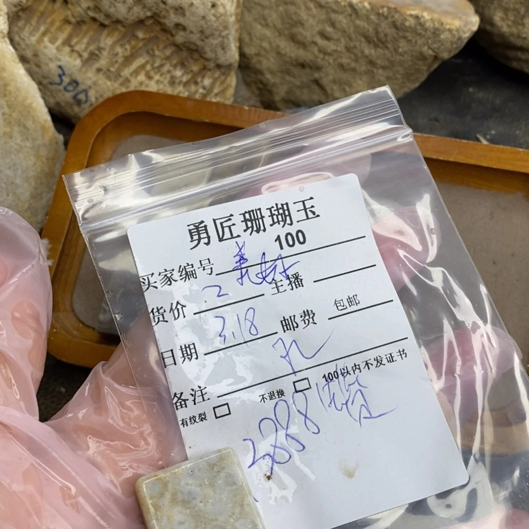 【闪购商品】硅化玉颈饰未镶嵌美***想