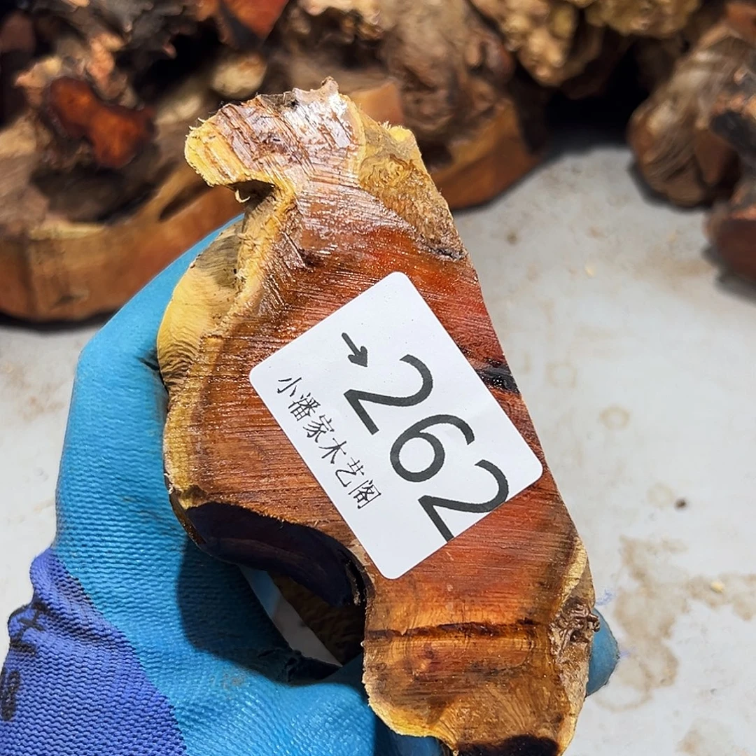 那***年香榧木火琉璃……火琉璃