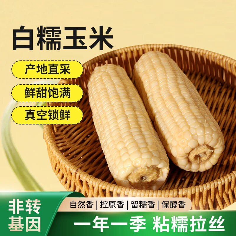 【免费试吃】悦鲜说白甜糯25年新鲜玉米非库存低脂软糯香甜真空包装
