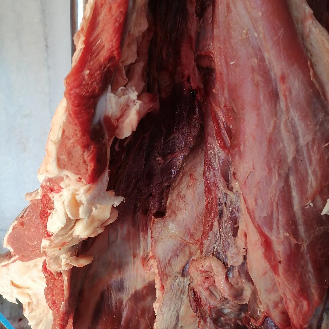 原切牛排鲜切牛肉火锅食材
