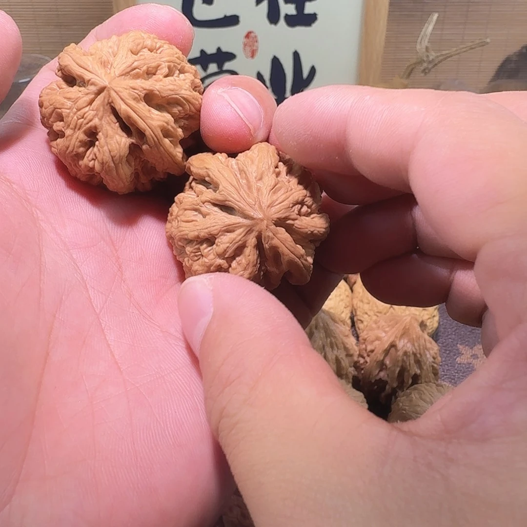 桃核把件伦*全品大粗筋