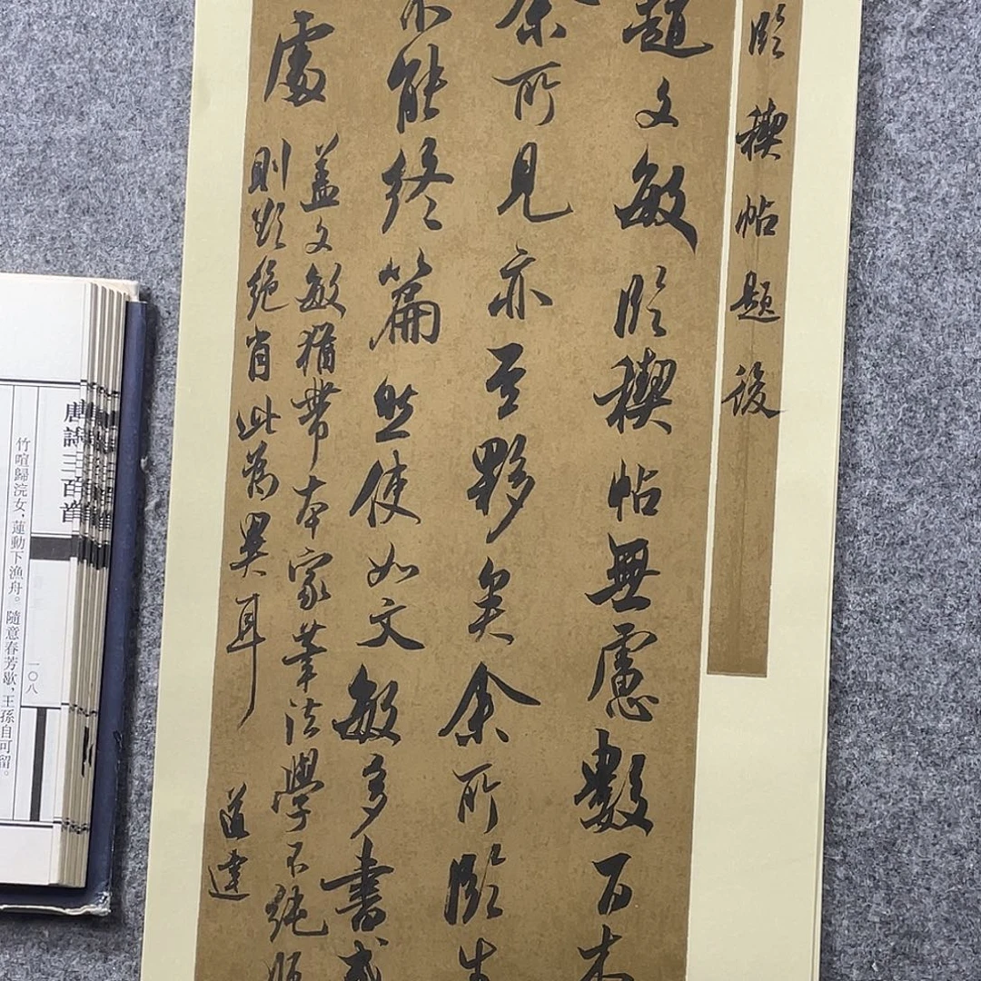 书法中书协会员作品