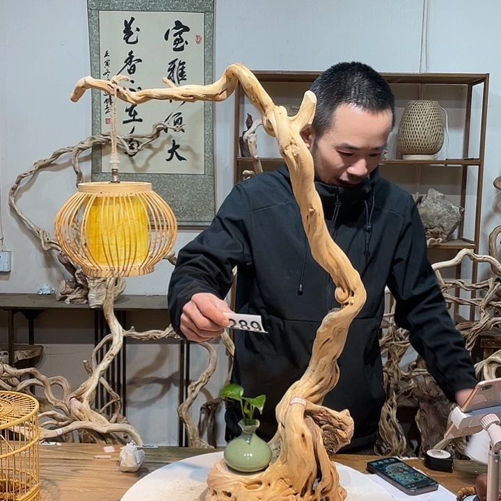 杰***哥香榧木杜鹃啼血猿哀鸣6