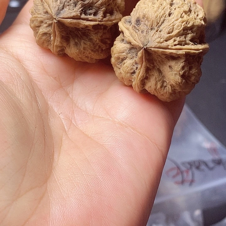 把件文玩核桃4-35mm微磕