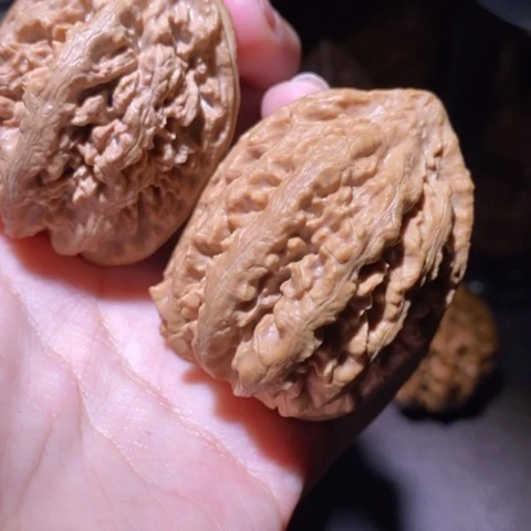 把件文玩核桃东北野生楸子小园 107