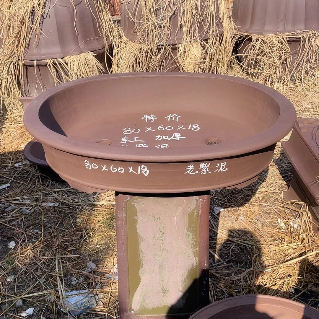 特价处理紫砂一只