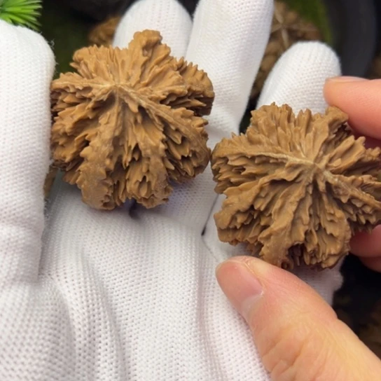 包***性文玩核桃把件秦岭核桃8