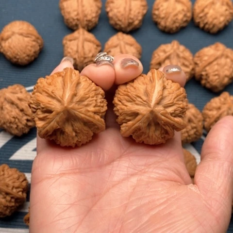 橄榄核手串/手链文山三棱38全品