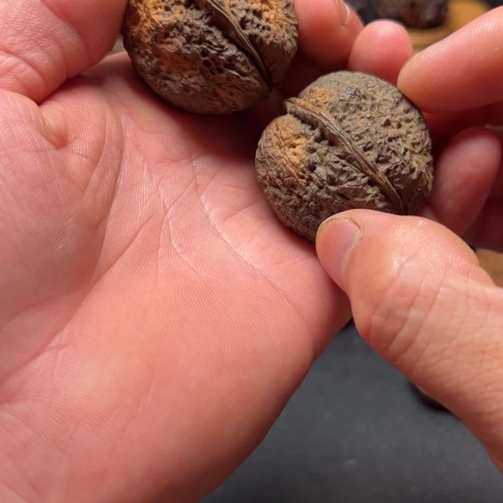 文玩核桃手串B龙脊蝴蝶蟾38