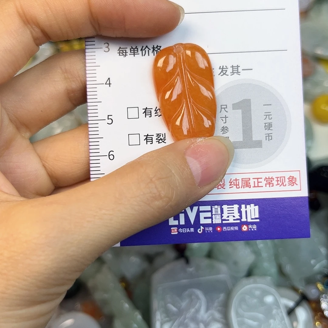 翡翠未镶嵌颈饰84