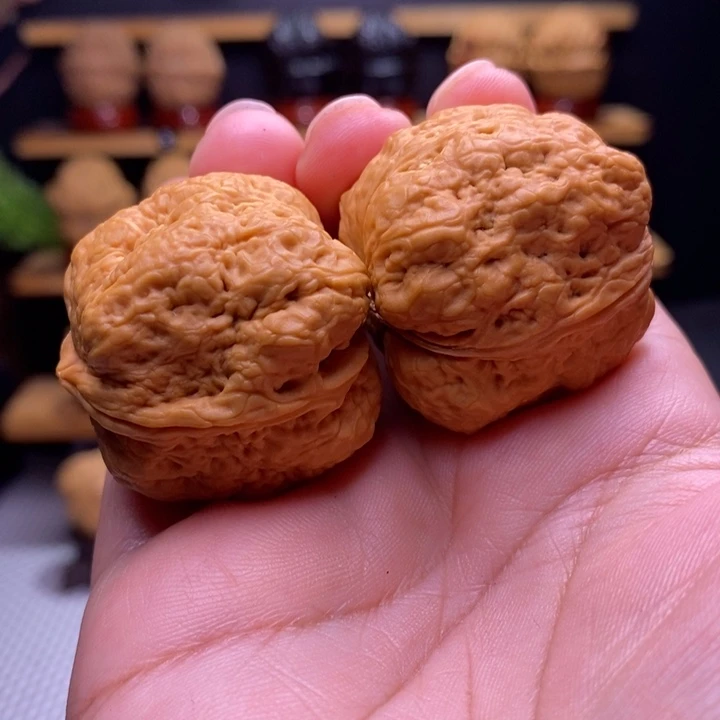 木质类云铁小平头蟾46号