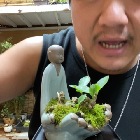 红陶一物一拍所见即所得279