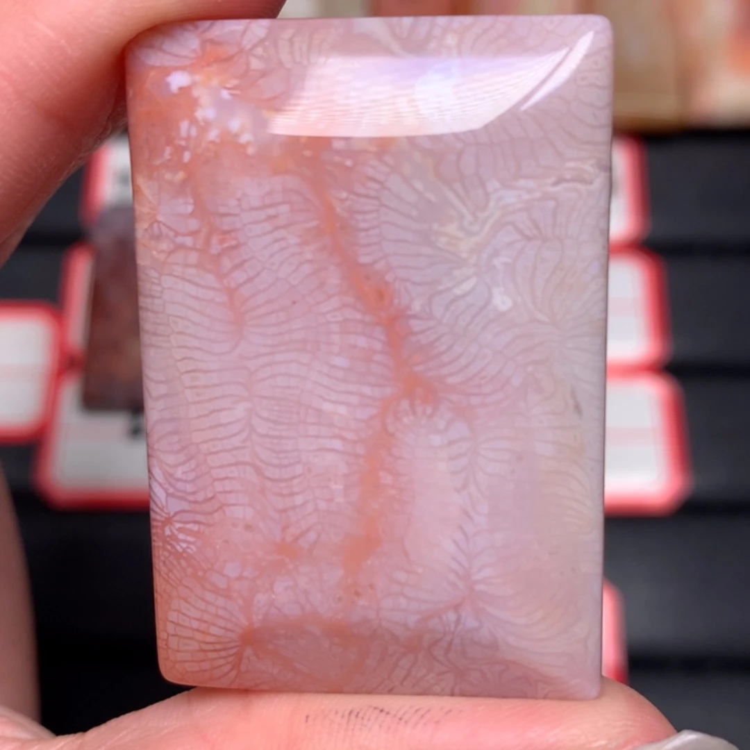 【闪购商品】硅化玉颈饰未镶嵌小*