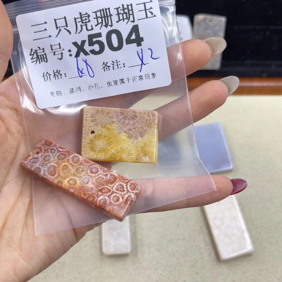 知****硅化珊瑚（珊瑚玉）h银S925镀金镶嵌