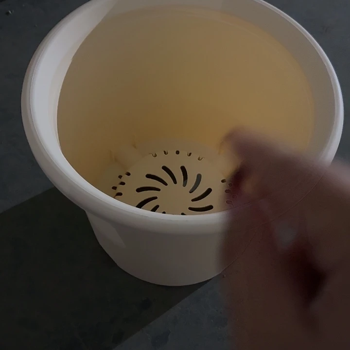 口径32米黄无托7个特价微瑕