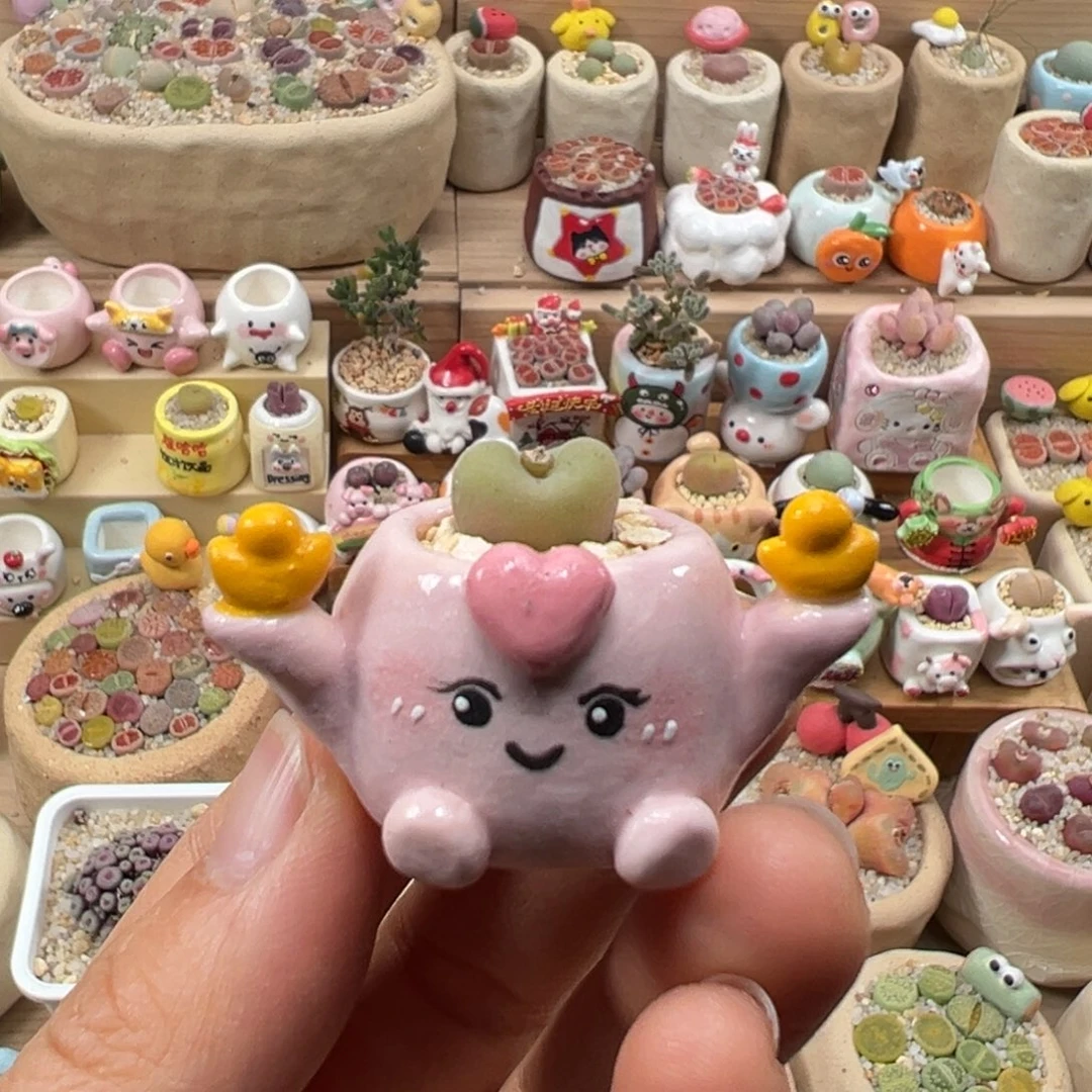 多肉植物133号拇指盆