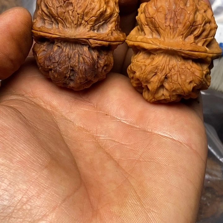 文玩核桃把件正文铁核桃45号