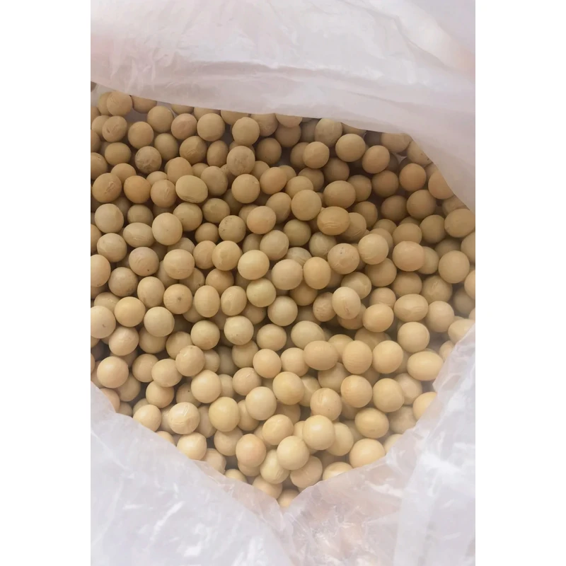 精选农家特产 黄豆