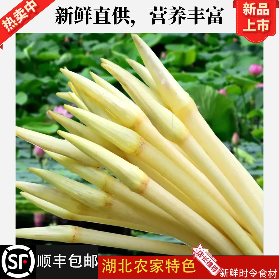 2025年新鲜藕带藕尖不漂白湖北农家现挖蔬菜脆嫩可口现摘现发