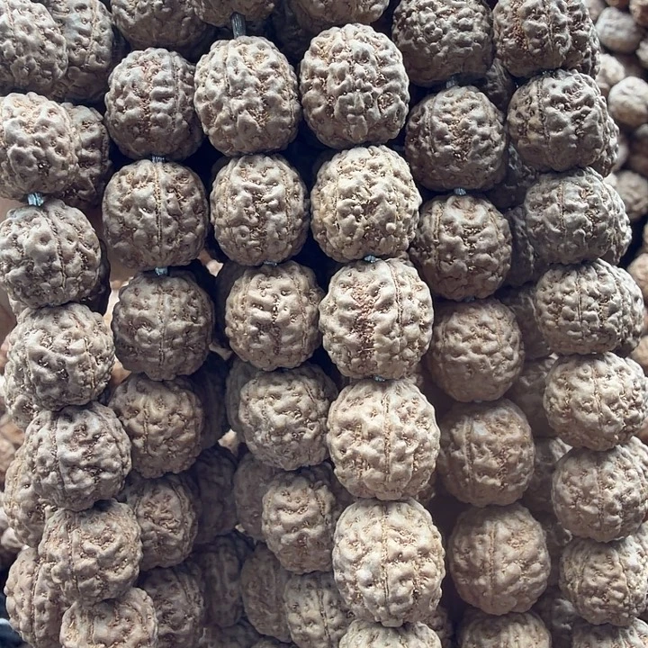 金刚菩提吊坠一代盘龙尺寸随机