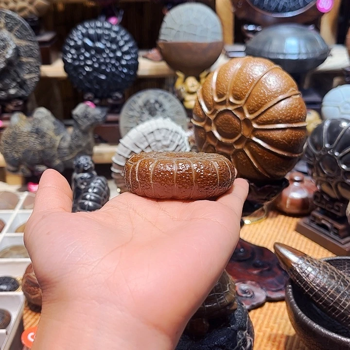 一***安有机玻璃龟纹石小月饼型