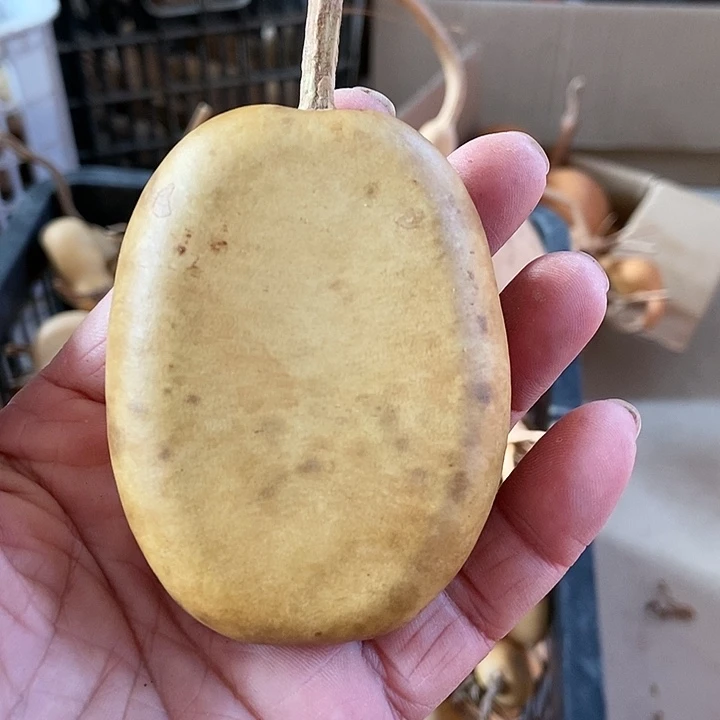 乖***望j s kfn s j d c d