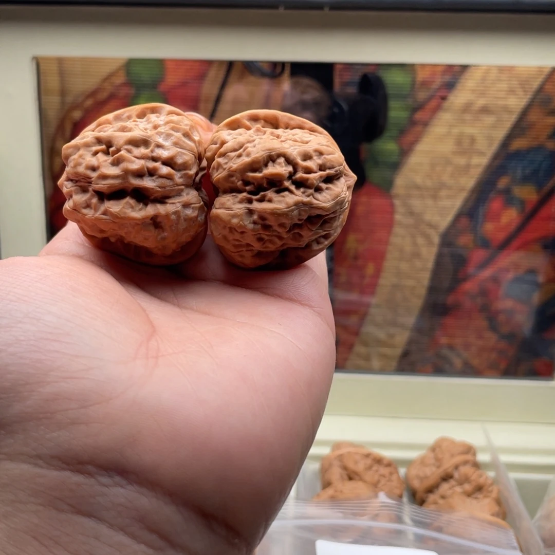 木质类蛙蛙蛙蛙蛙1149