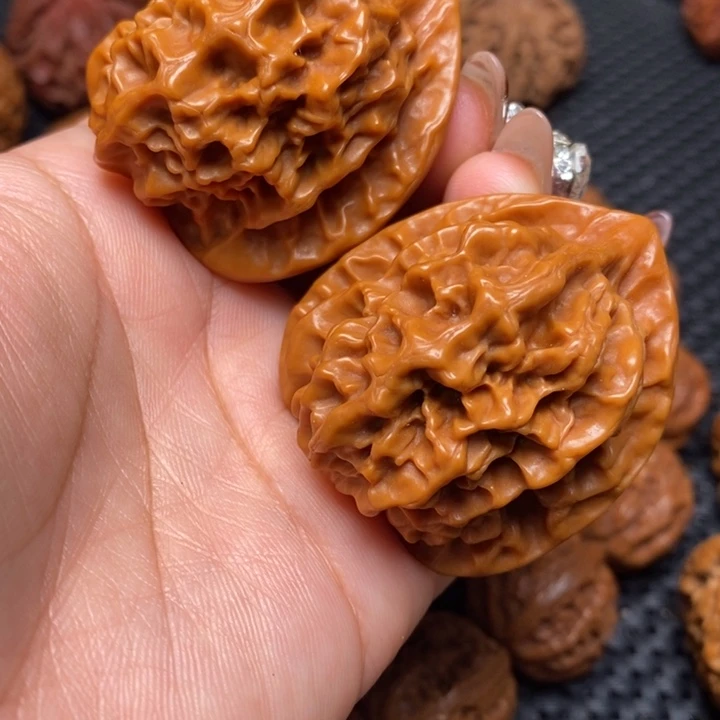 秦岭野生00000000028