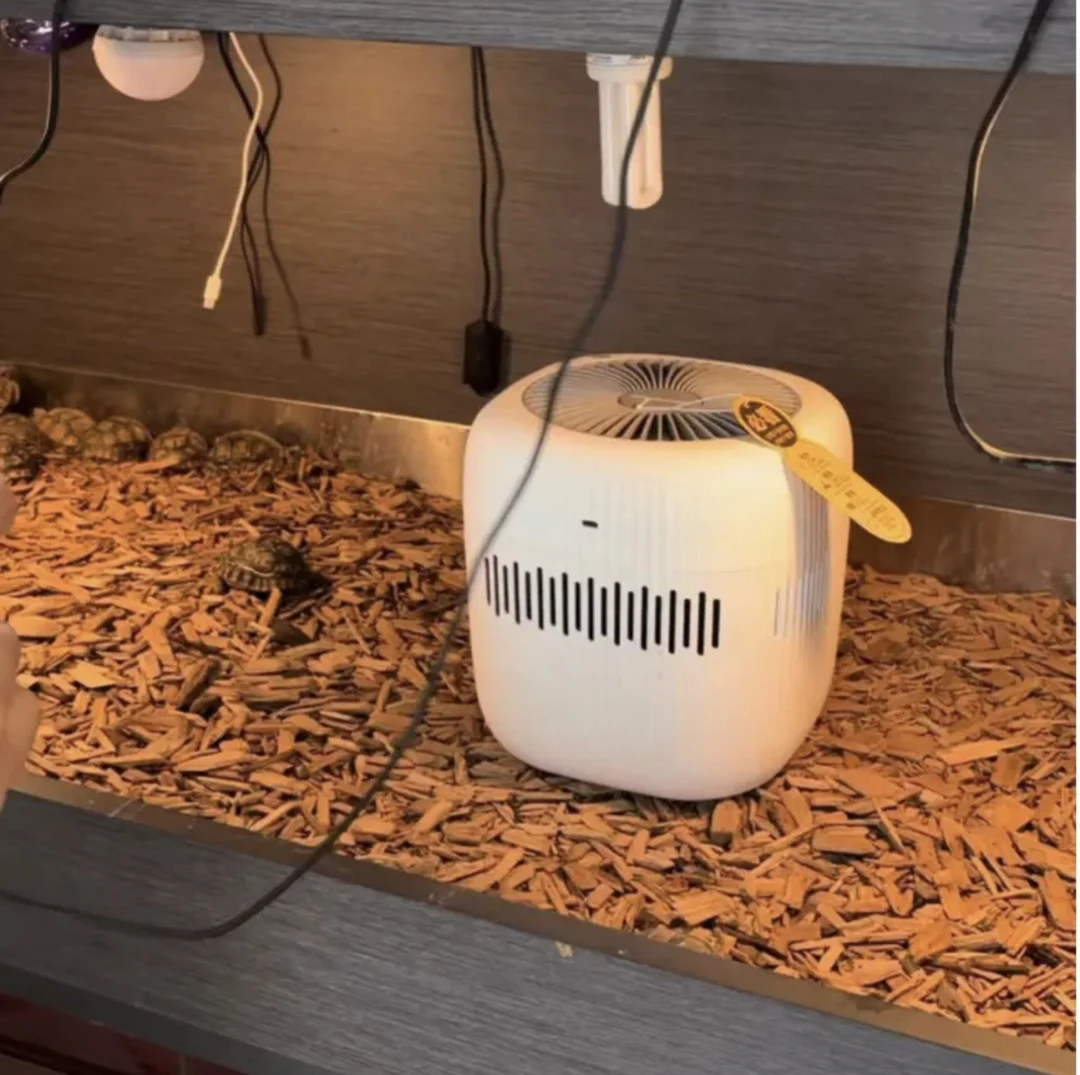 无雾加湿器搭配温湿控制器陆龟专用低噪音饲养箱装置