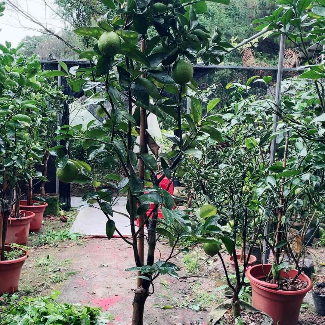 【闪购商品】完全开放未****?