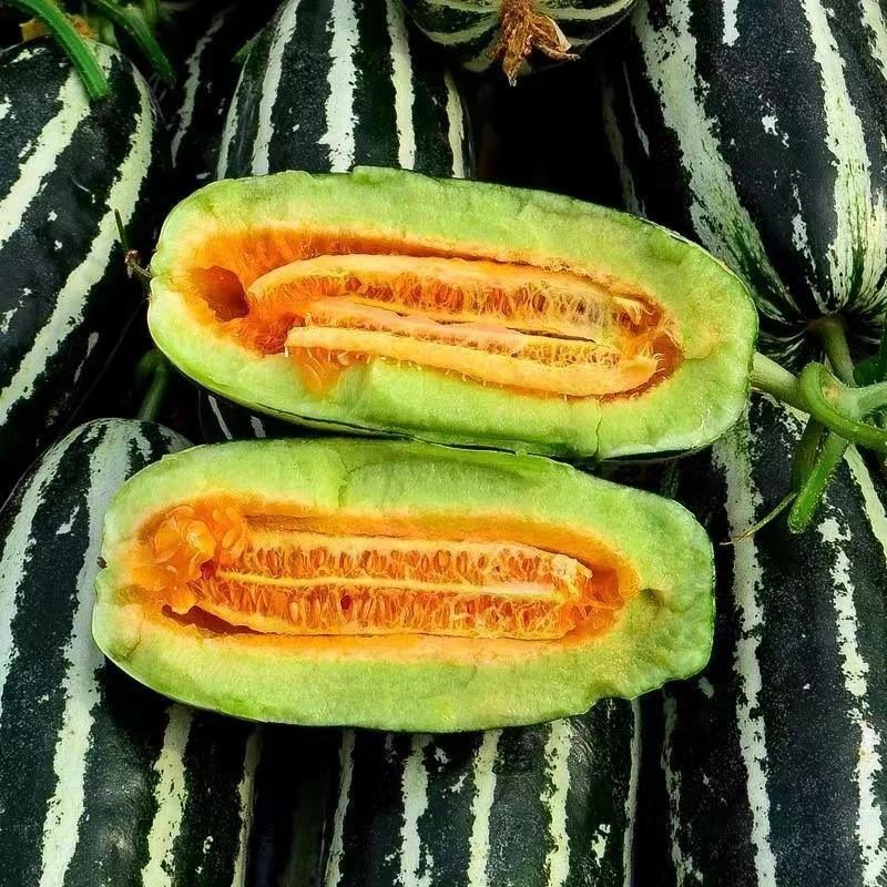 博洋九号甜瓜600g 2枚一盒新鲜