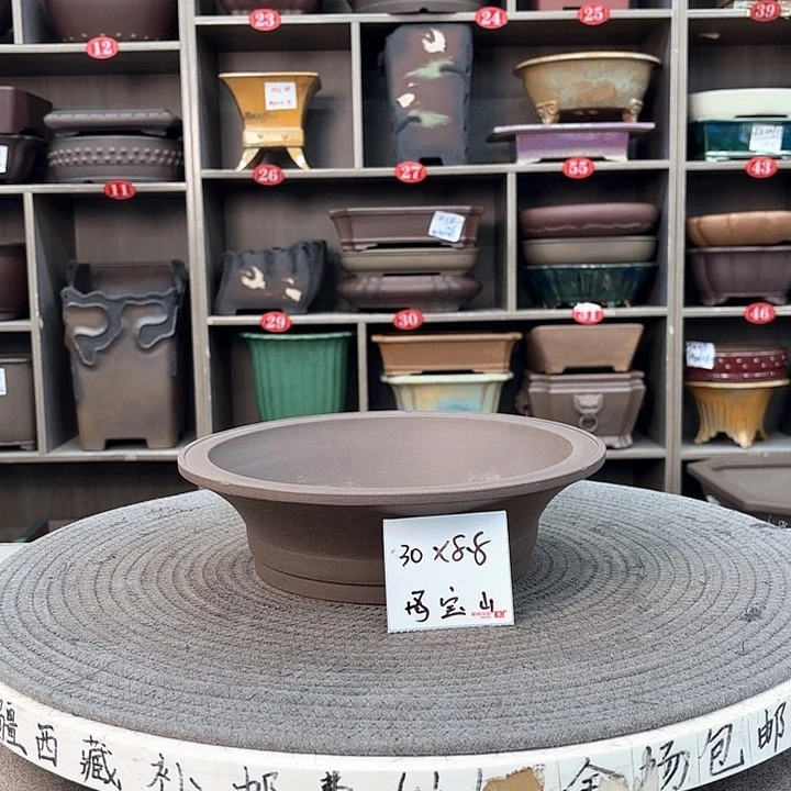 紫砂花盆紫砂的花也太