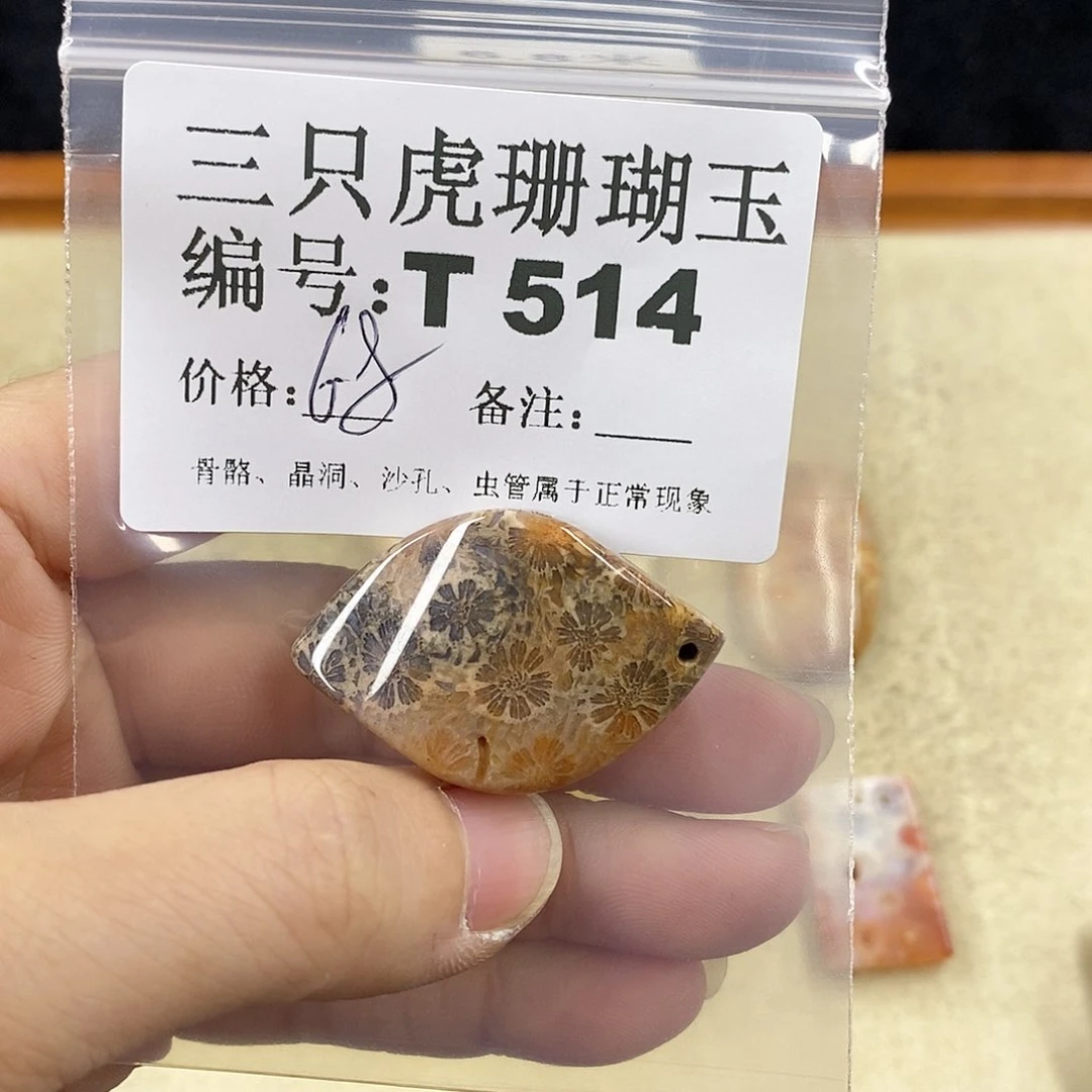 硅化珊瑚（珊瑚玉）1未镶嵌*‍****