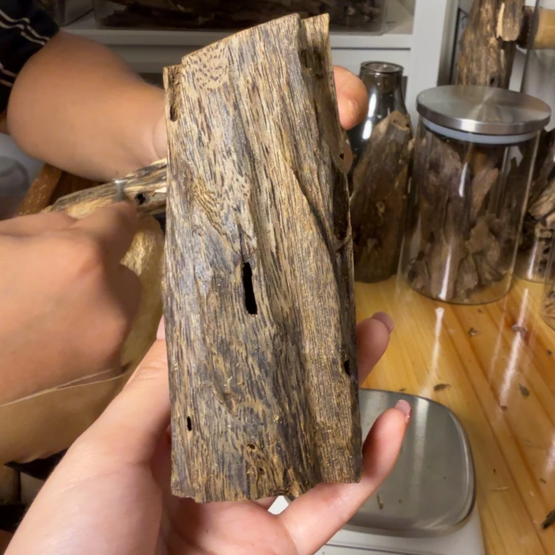 沉香绿奇虫漏香58克