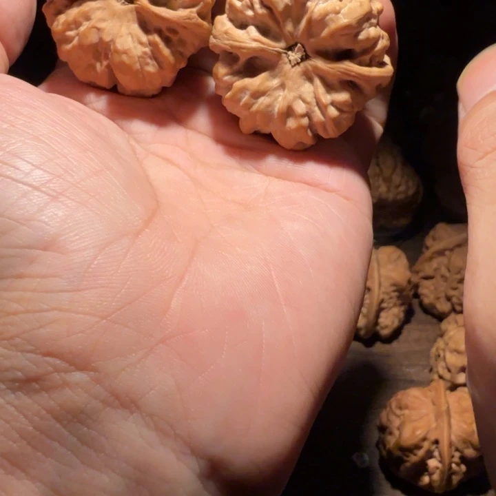 南***风吊坠文玩核桃蛤蟆的眼睛也太好看