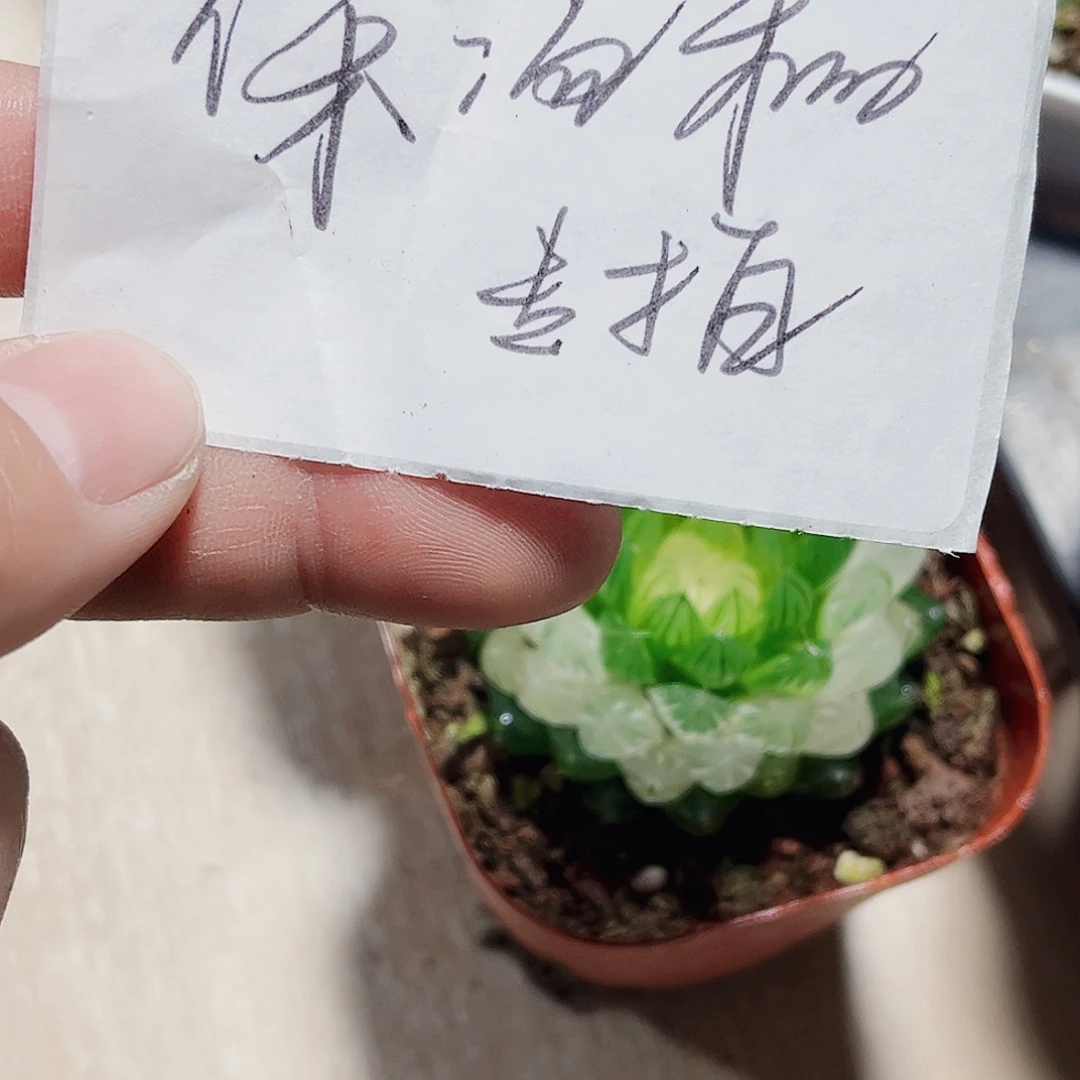 保温箱发货专用链接