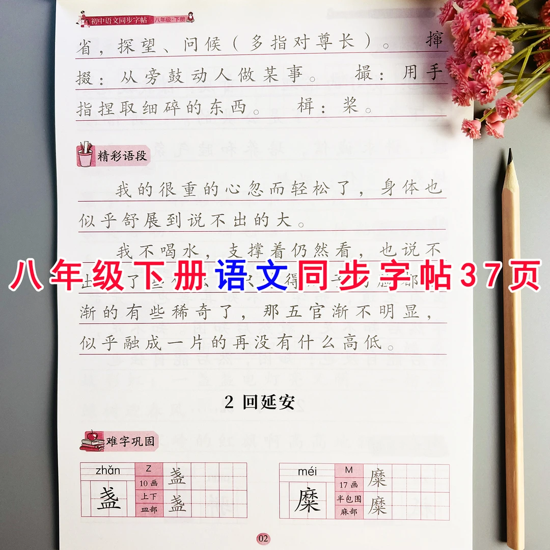 八年级下册语文同步字帖人教版语文初二下册同步练字帖规范字书写