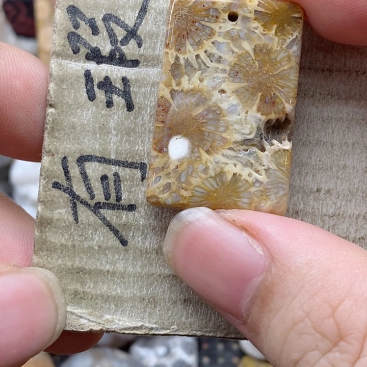 颈饰未镶嵌硅化珊瑚（珊瑚玉）唐***子小