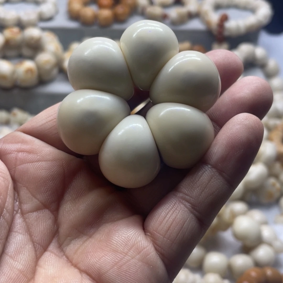 吊坠菩提根/象牙果全品象牙果蒜瓣手捻卡25